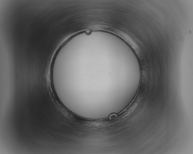 X0000101990948200808011058