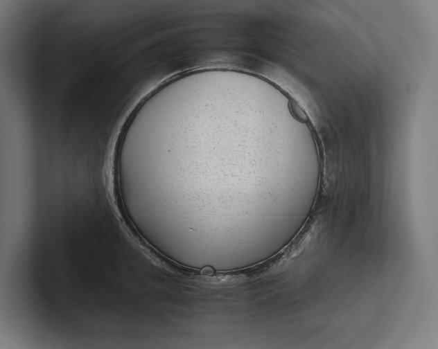 X0000101990949200808011058