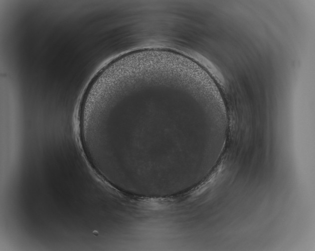 X0000101990950200808011058