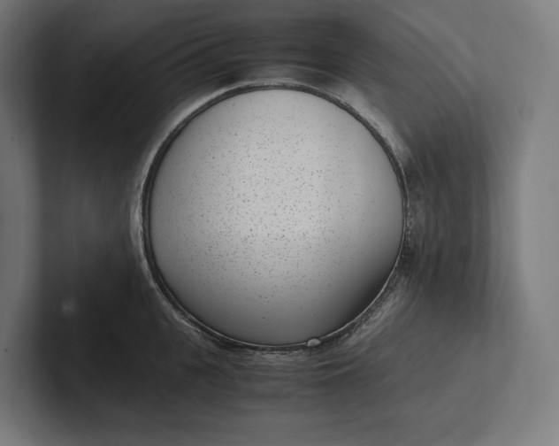 X0000101990951200808011058