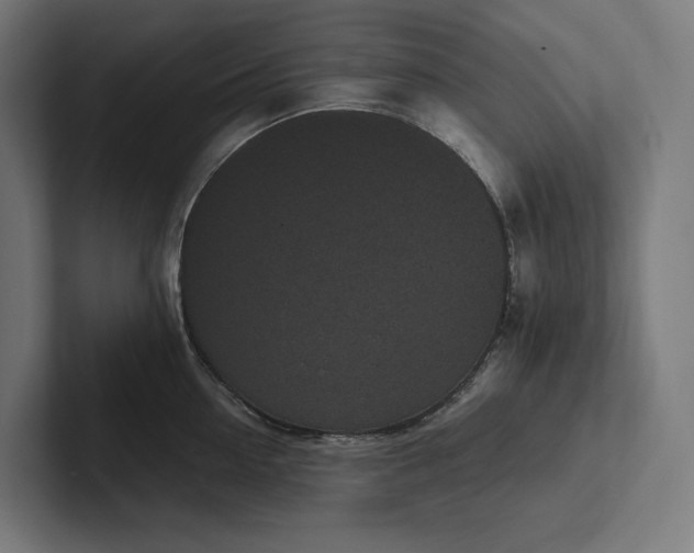 X0000101990954200808011058