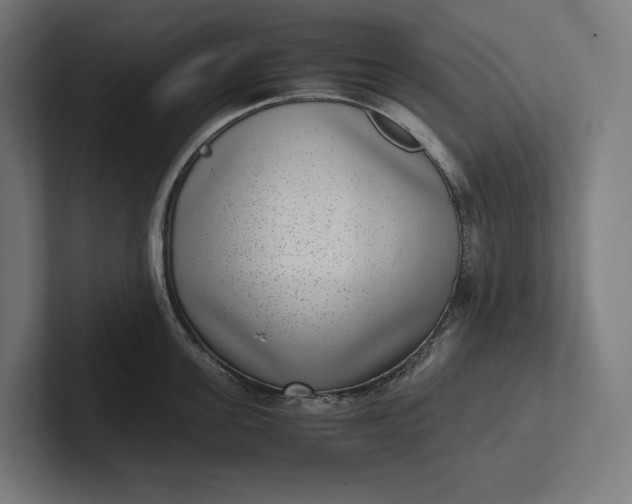 X0000101990955200808011058