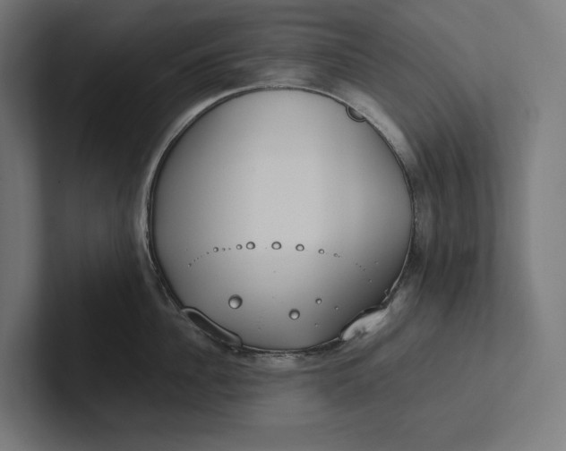 X0000101990956200808011058