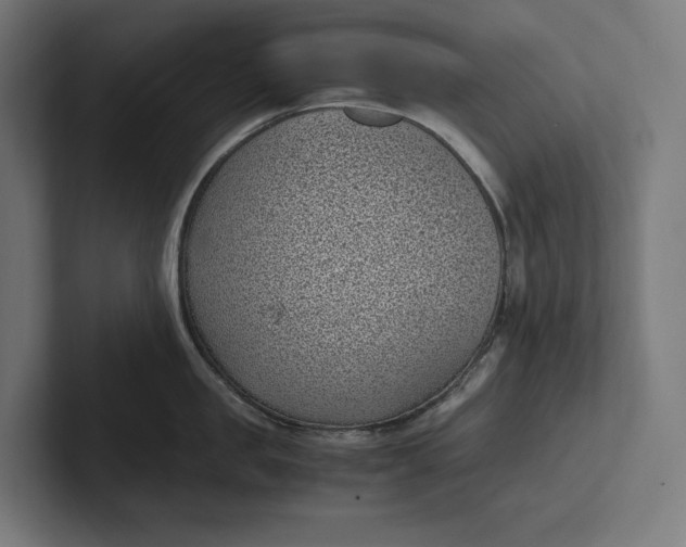 X0000101990957200808011058