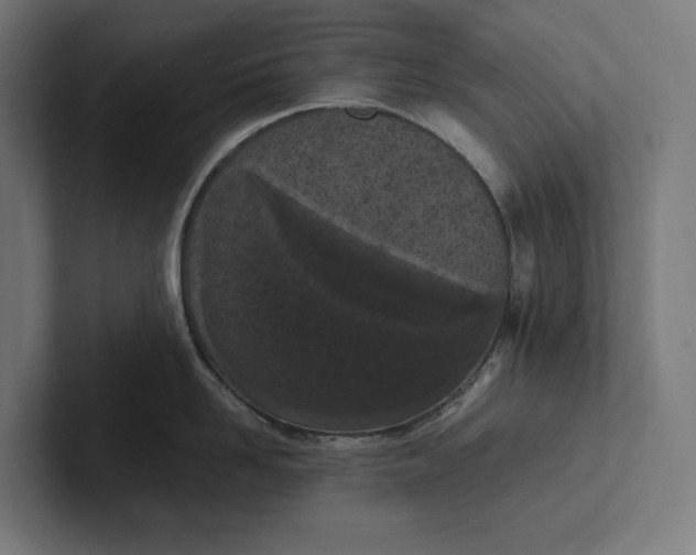 X0000101990958200808011058