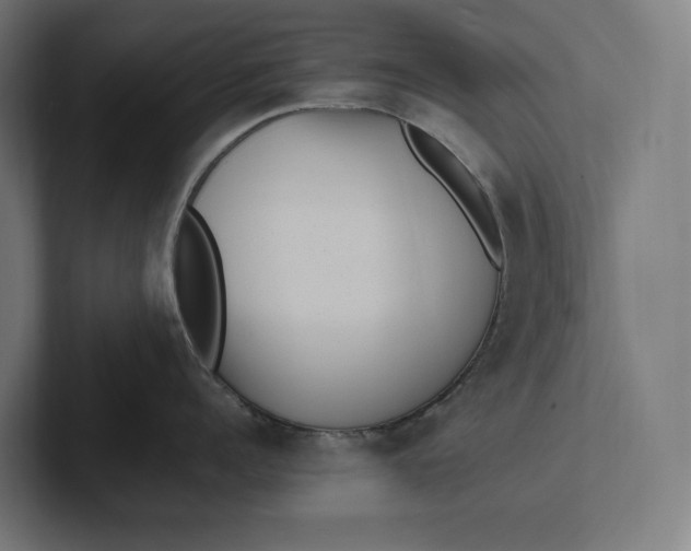 X0000101990960200808011058