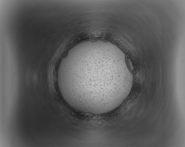 X0000101990961200808011058