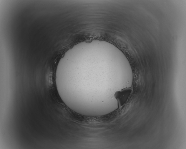 X0000101990962200808011058