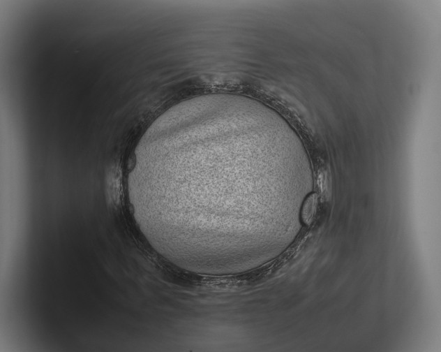 X0000101990963200808011058