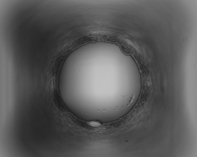 X0000101990965200808011058