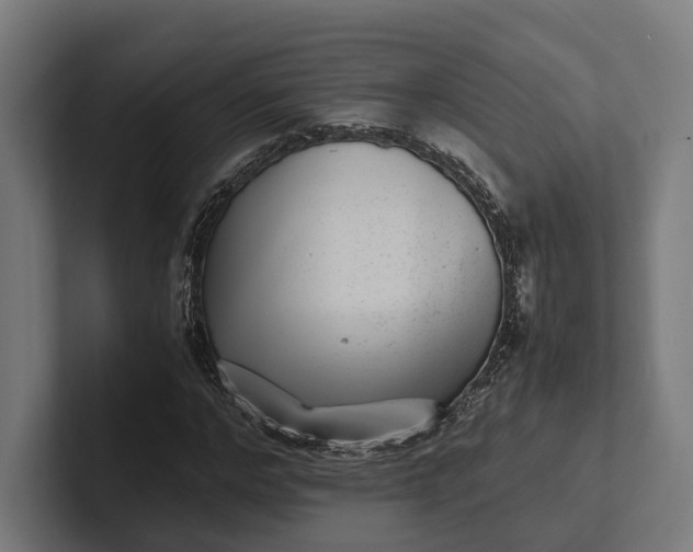 X0000101990968200808011058