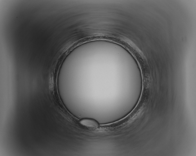 X0000101990969200808011058