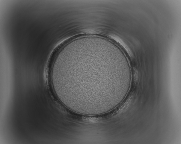 X0000101990971200808011058