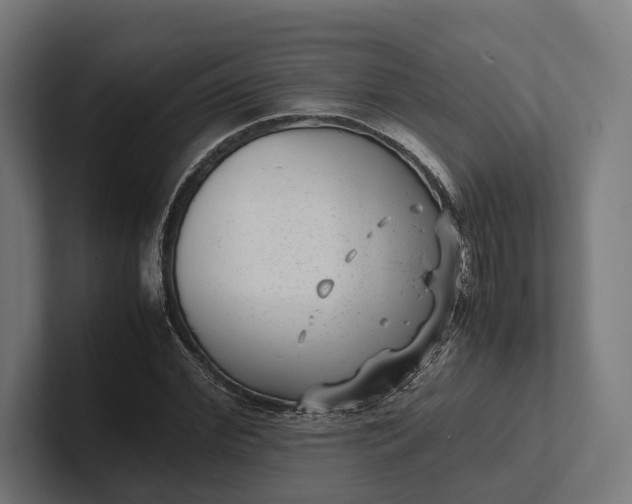 X0000101990972200808011058