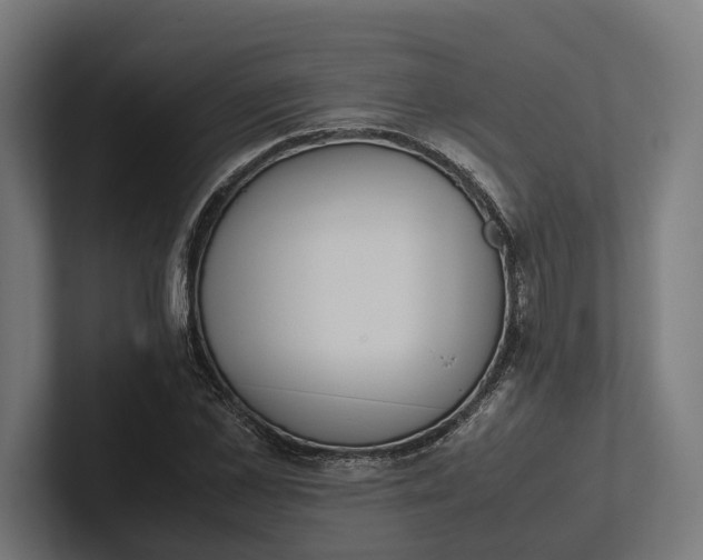 X0000101990973200808011058