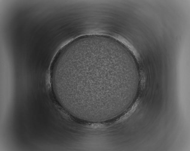 X0000101990974200808011058