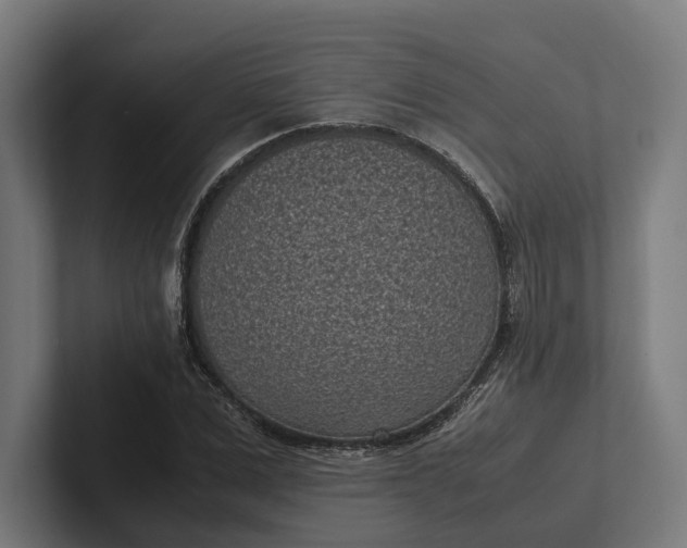 X0000101990975200808011058