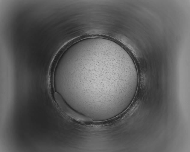 X0000101990976200808011058