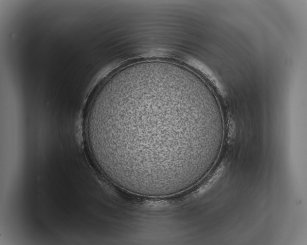 X0000101990978200808011058