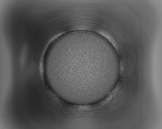 X0000101990979200808011058