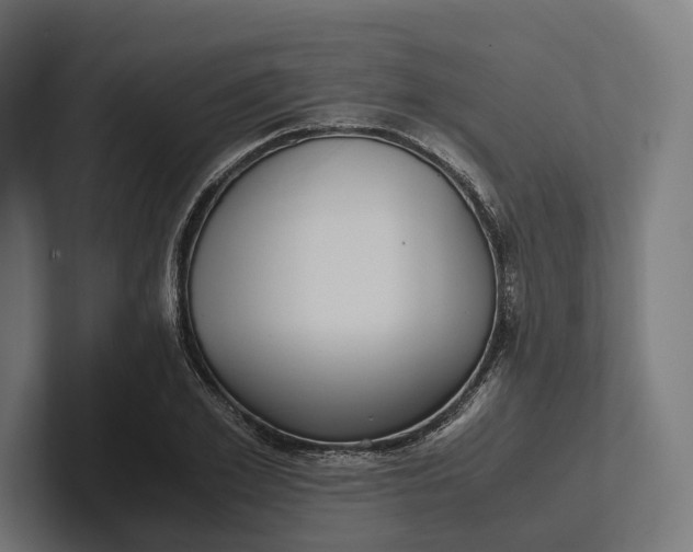 X0000101990981200808011057