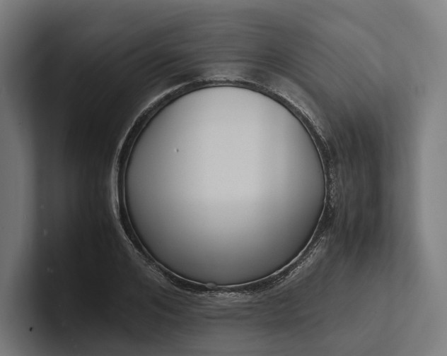 X0000101990984200808011057