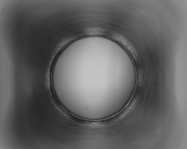 X0000101990986200808011057