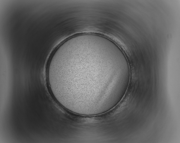 X0000101990990200808011057