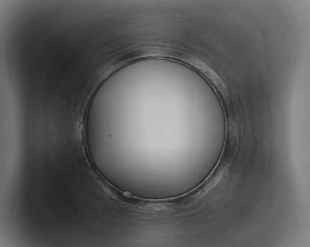 X0000101990993200808011057