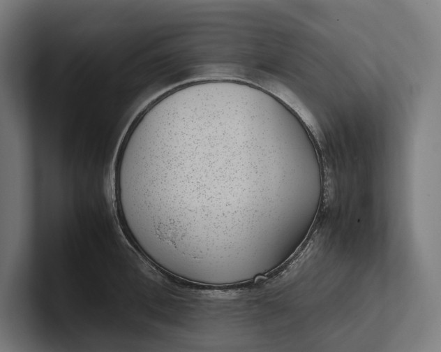 X0000101990996200808011057