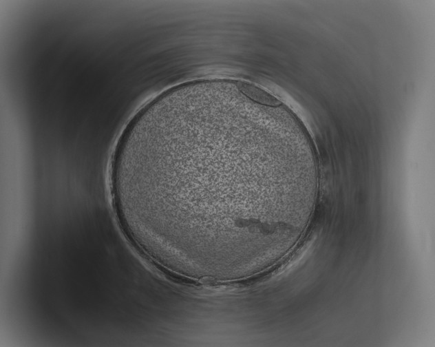 X0000101990997200808011057