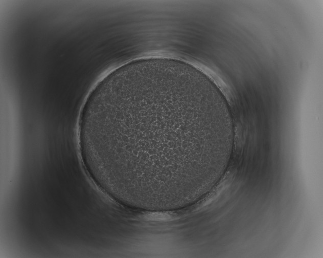 X0000101990998200808011057