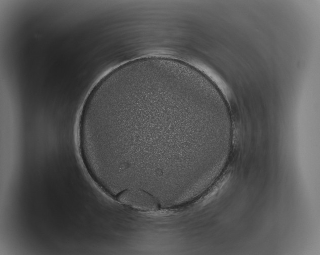 X0000101990999200808011057