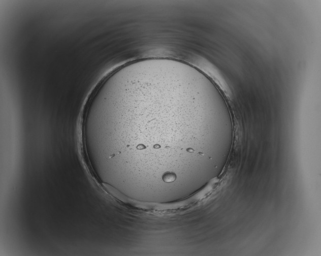 X0000101991000200808011057