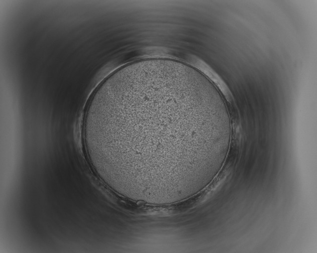 X0000101991002200808011057