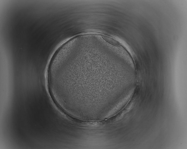 X0000101991003200808011057