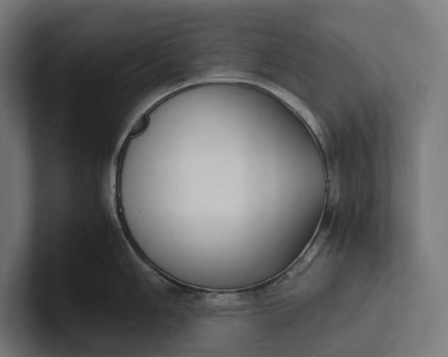 X0000101991006200808011057