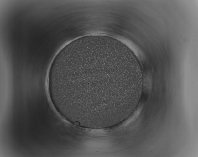 X0000101991007200808011057