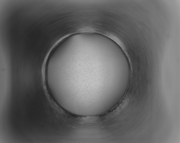 X0000101991008200808011057