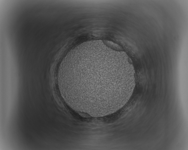 X0000101991009200808011057