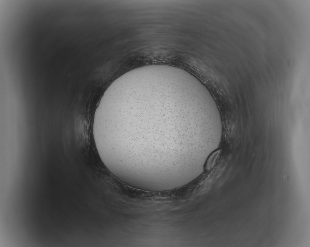 X0000101991010200808011057