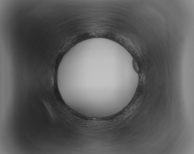 X0000101991012200808011057