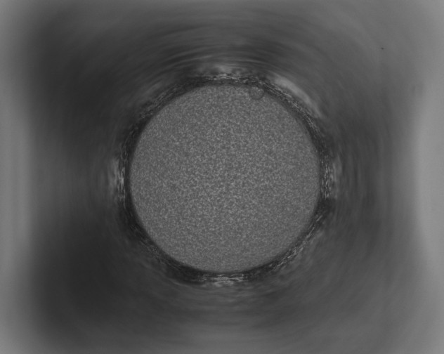 X0000101991013200808011057