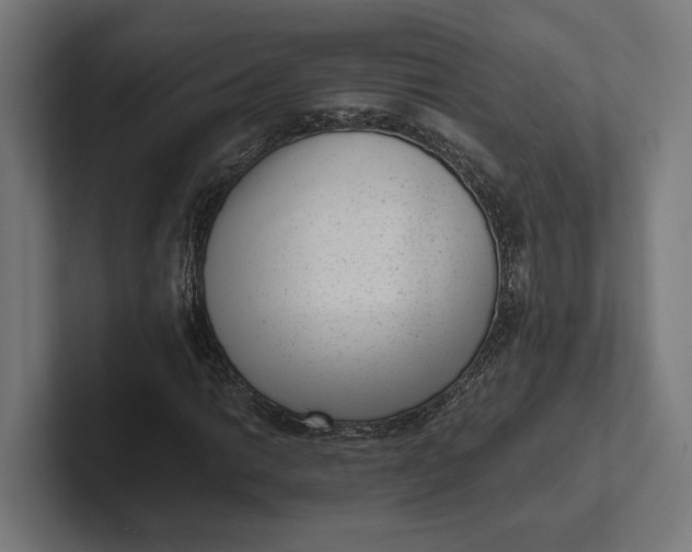 X0000101991014200808011057