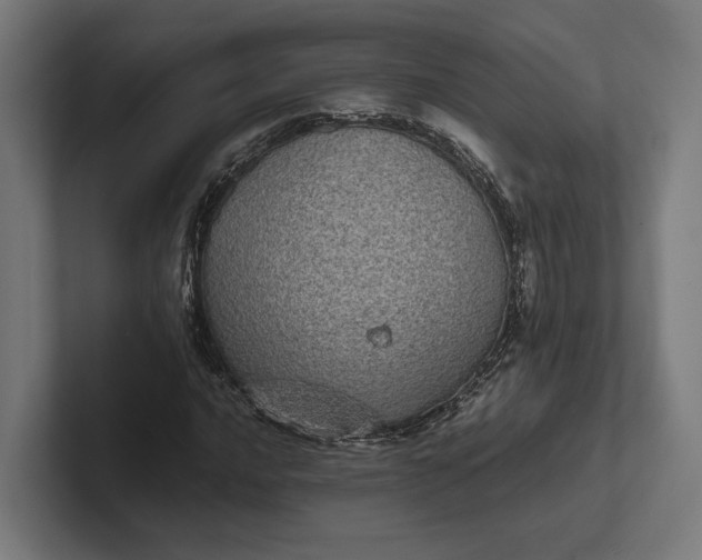 X0000101991016200808011057