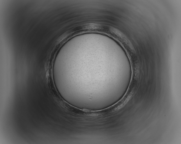 X0000101991017200808011057