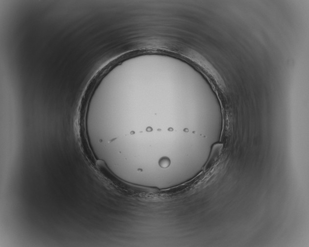 X0000101991020200808011057