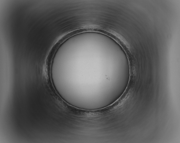 X0000101991022200808011057