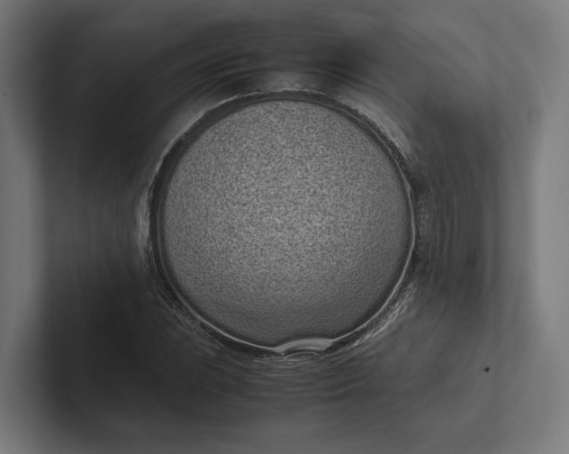 X0000101991023200808011057