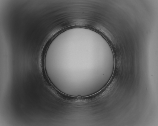 X0000101991026200808011057